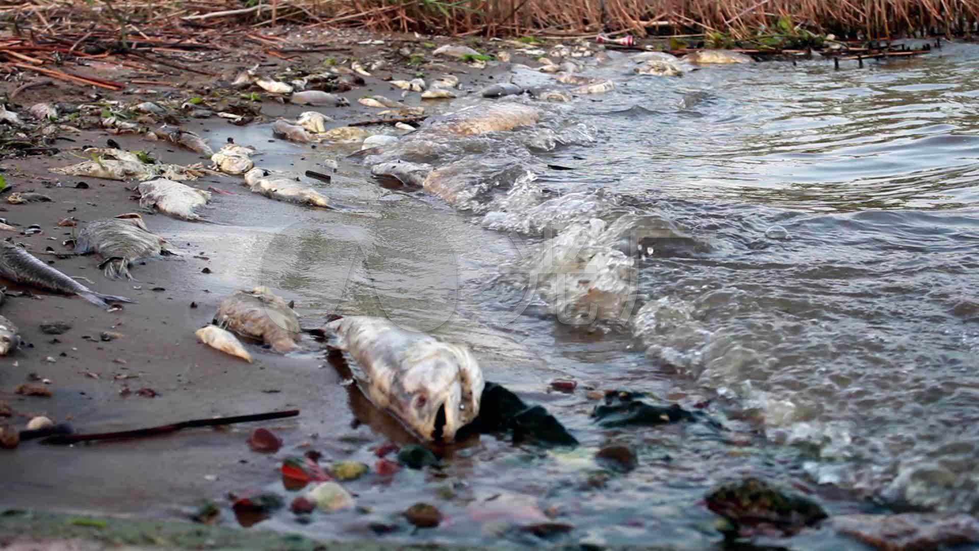 水污染会引起白癜风吗？