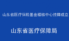 山东省医疗保险基金稽核中心挂牌成立