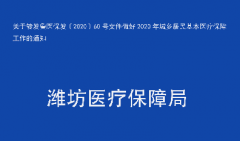 关于转发鲁医保发〔2020〕60号文件做好2020年城乡