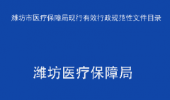 市医疗保障局现行有效行政规范性文件目录