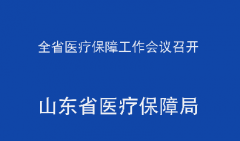 全省医疗保障工作会议召开