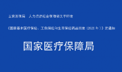 国家医保局 人力资源社会保障部关于印发《国家