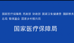 国家医疗保障局 民政部 财政部 国家卫生健康委